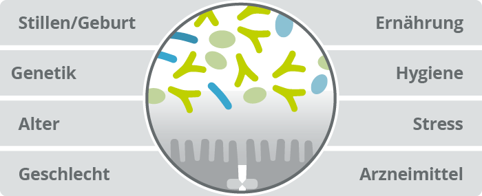 Einflussfaktoren auf die Darmflora 