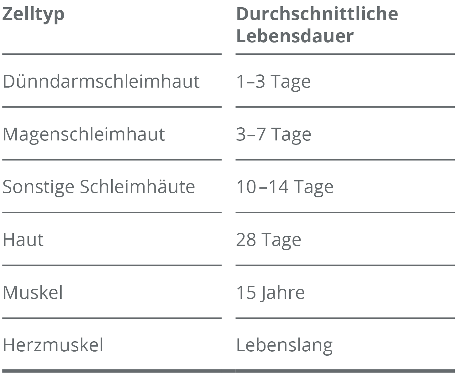 Wie oft erneuert sich die Darmschleimhaut?