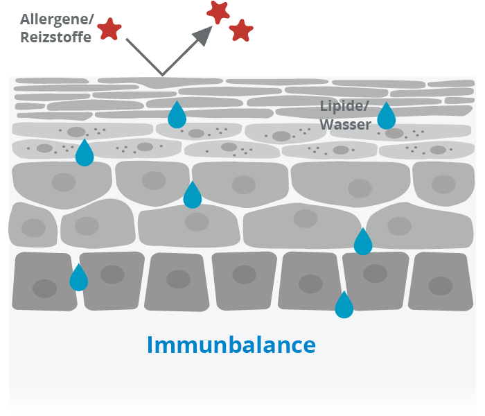 Intakte Hautbarriere.