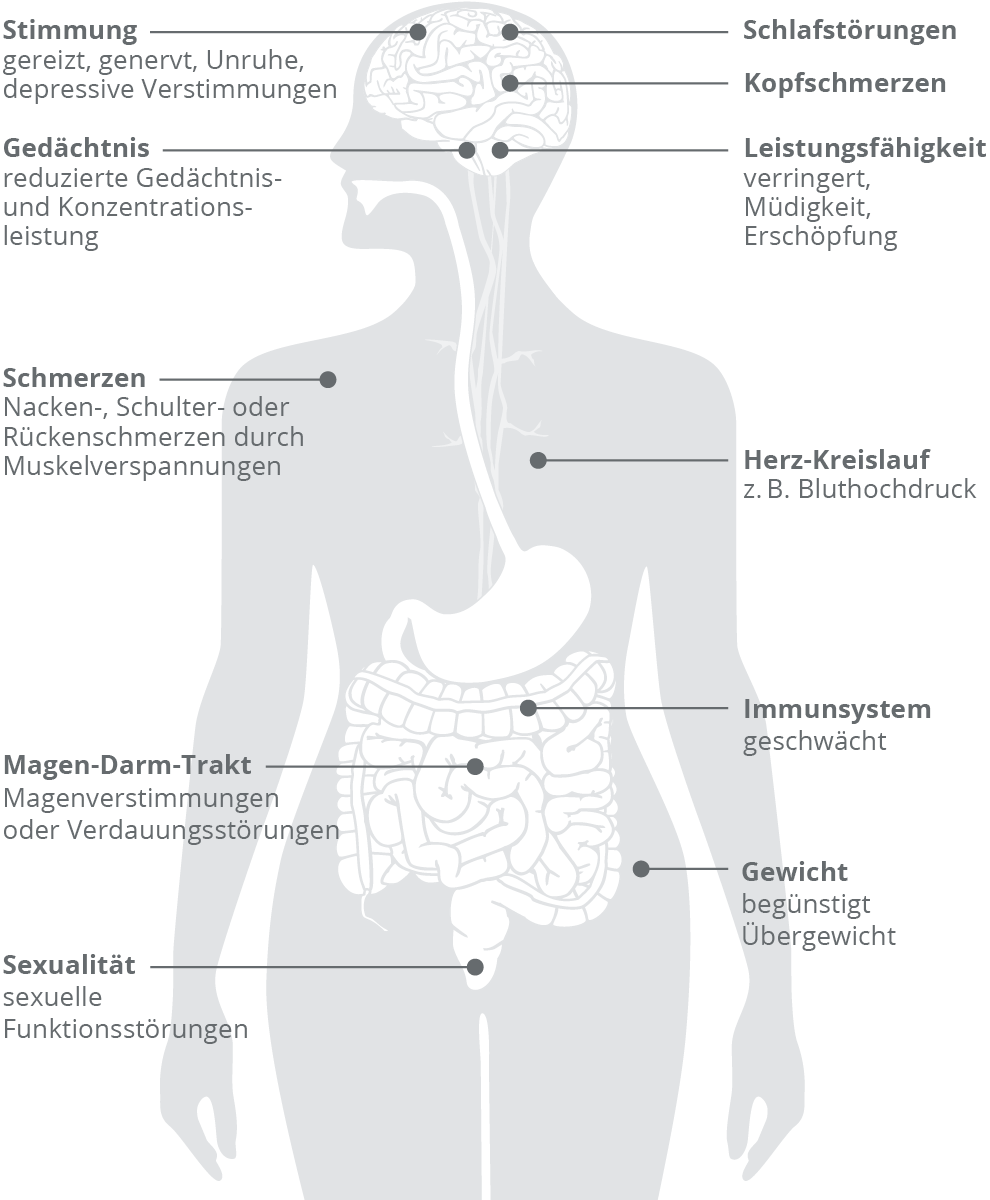 Auswirkungen von Stress auf K&ouml;rper und Psyche