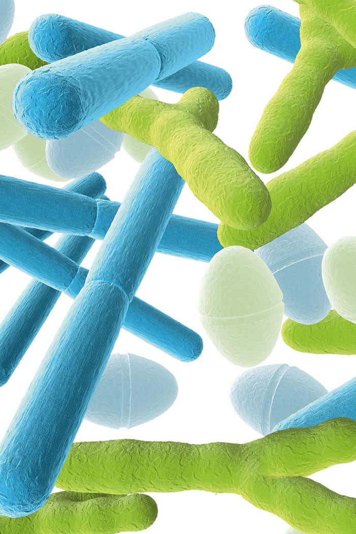 Probiotika bei Stress