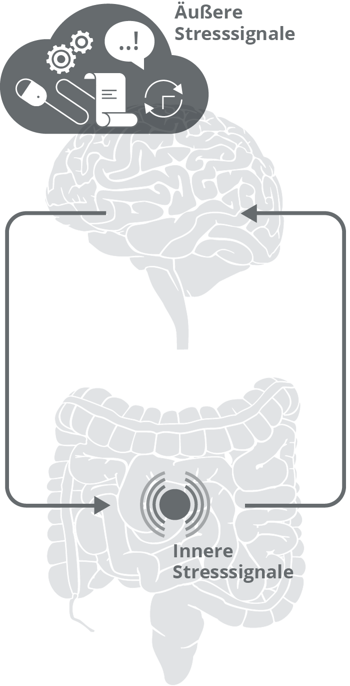 Stress als Belastung f&uuml;r die Darmflora