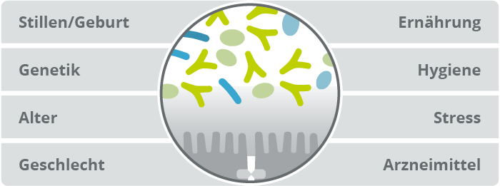 Einflussfaktoren auf die Darmflora