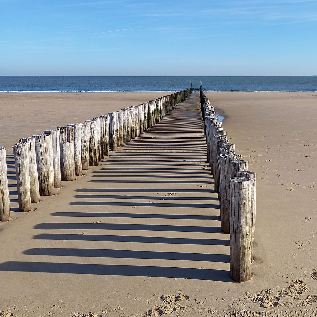 Holzpfähle am Strand