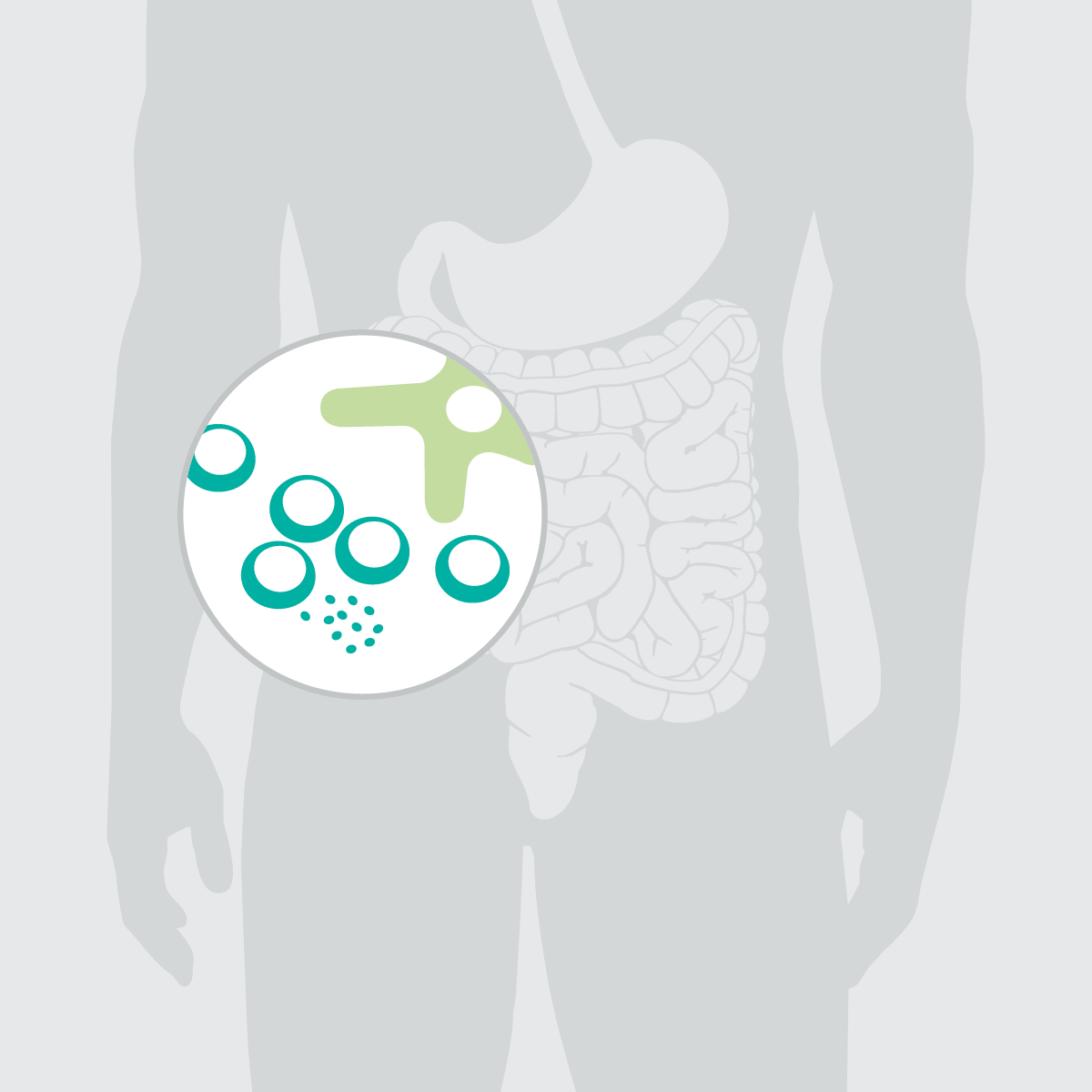 Silouhette mit stilisiertem Darm und Icon Immunzellen