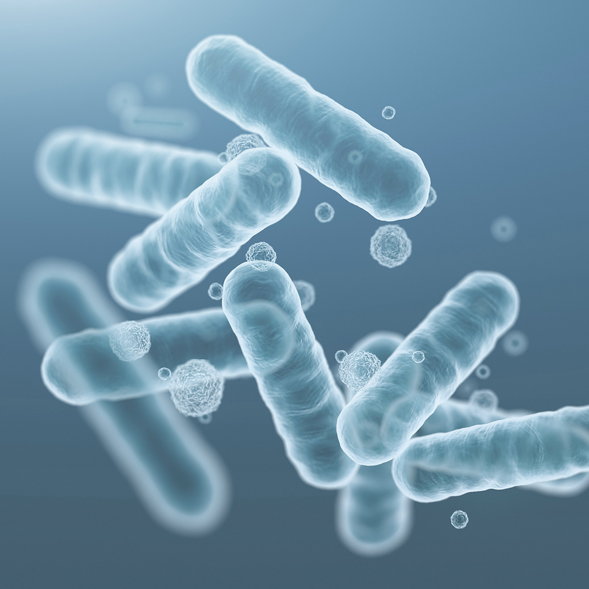 Abbildung Bakterien auf blauem Hintergrund
