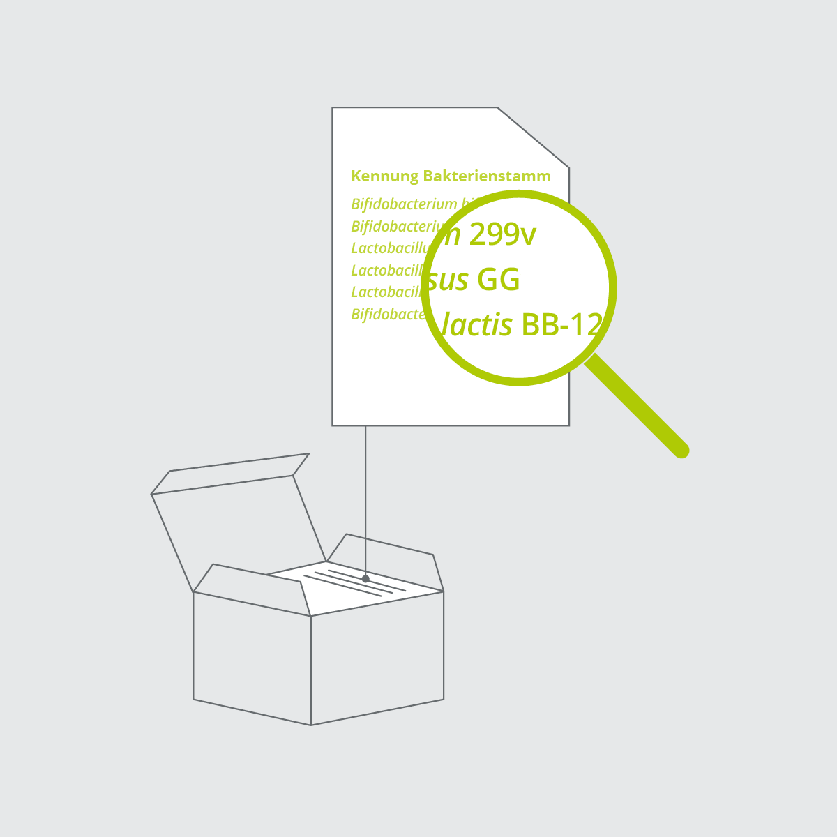 Abbildung zur Verdeutlichung der Kennung von Probiotika Stämmen