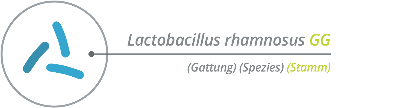 Stammspezifische Deklaration