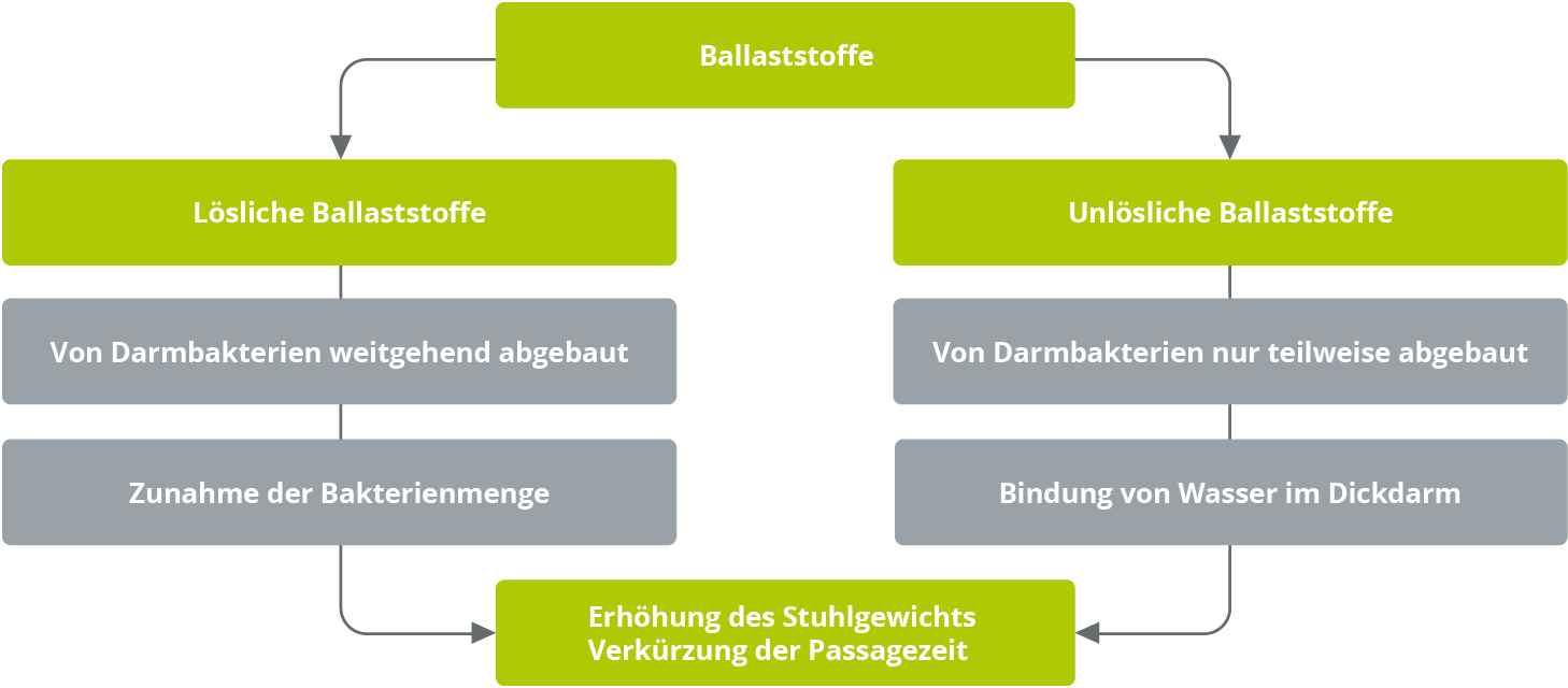 Grafik zu löslichen und unlöslichen Ballaststoffen