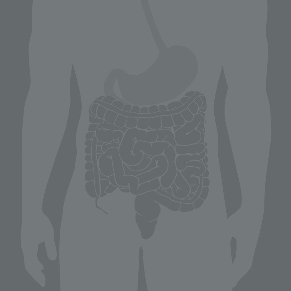 Dunkelgraue Silouhette mit stilisiertem Darm